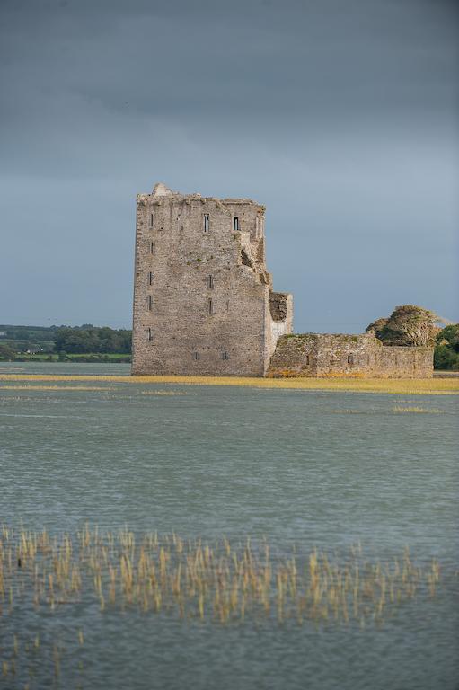 Ballylongford Castle View House Bed & Breakfast エクステリア 写真