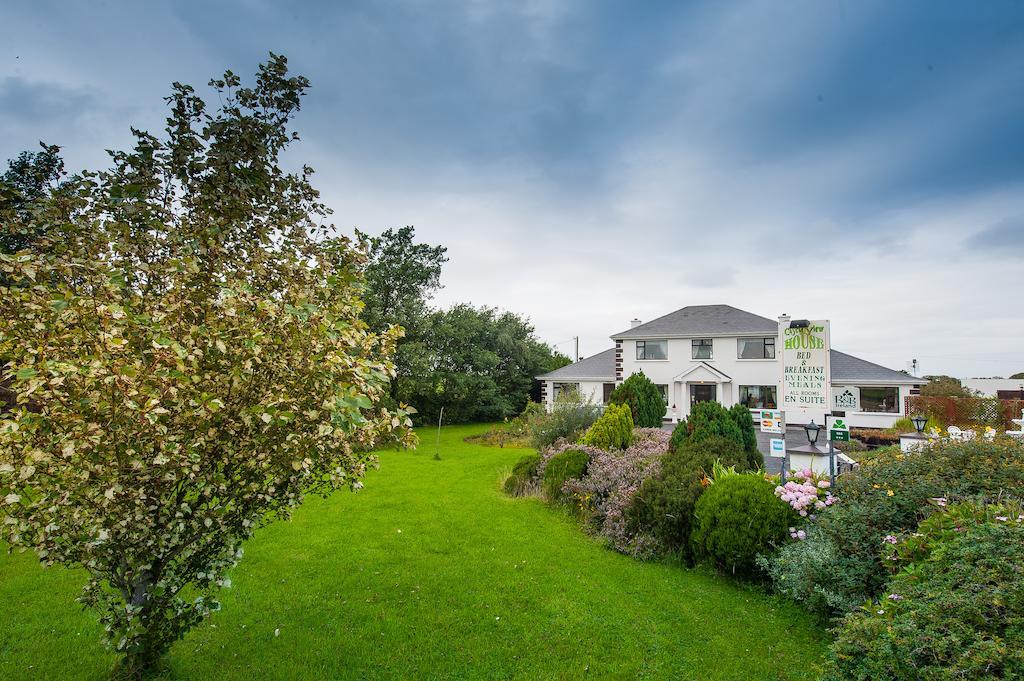 Ballylongford Castle View House Bed & Breakfast エクステリア 写真